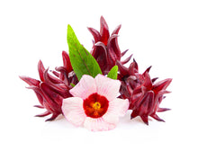 Load image into Gallery viewer, Hibiscus Flower Crystalized
